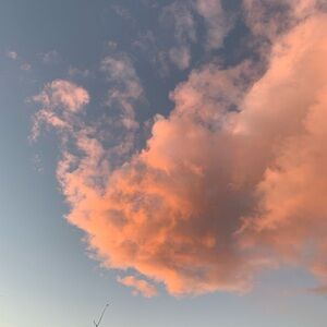 Meet your Posher, Kathynia